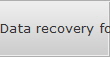 Data recovery for Sandy Springs data